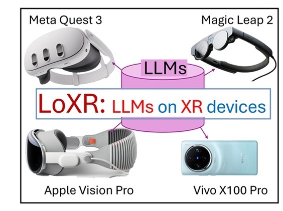 LoXR