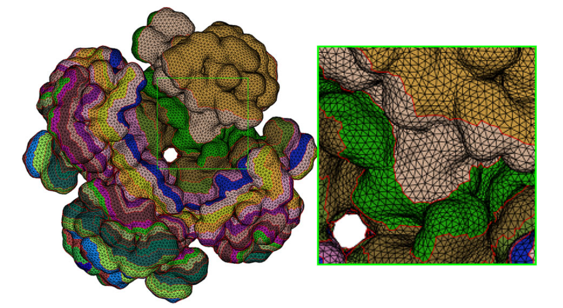 Molecular Surface Remeshing